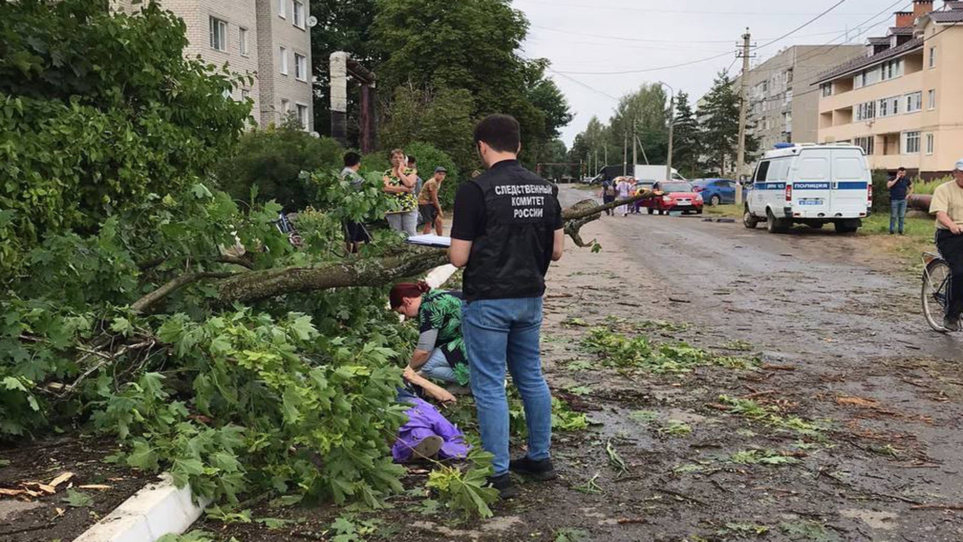 На парня упало дерево. Упавшее дерево. Поселок Михайловский Ярославская область.