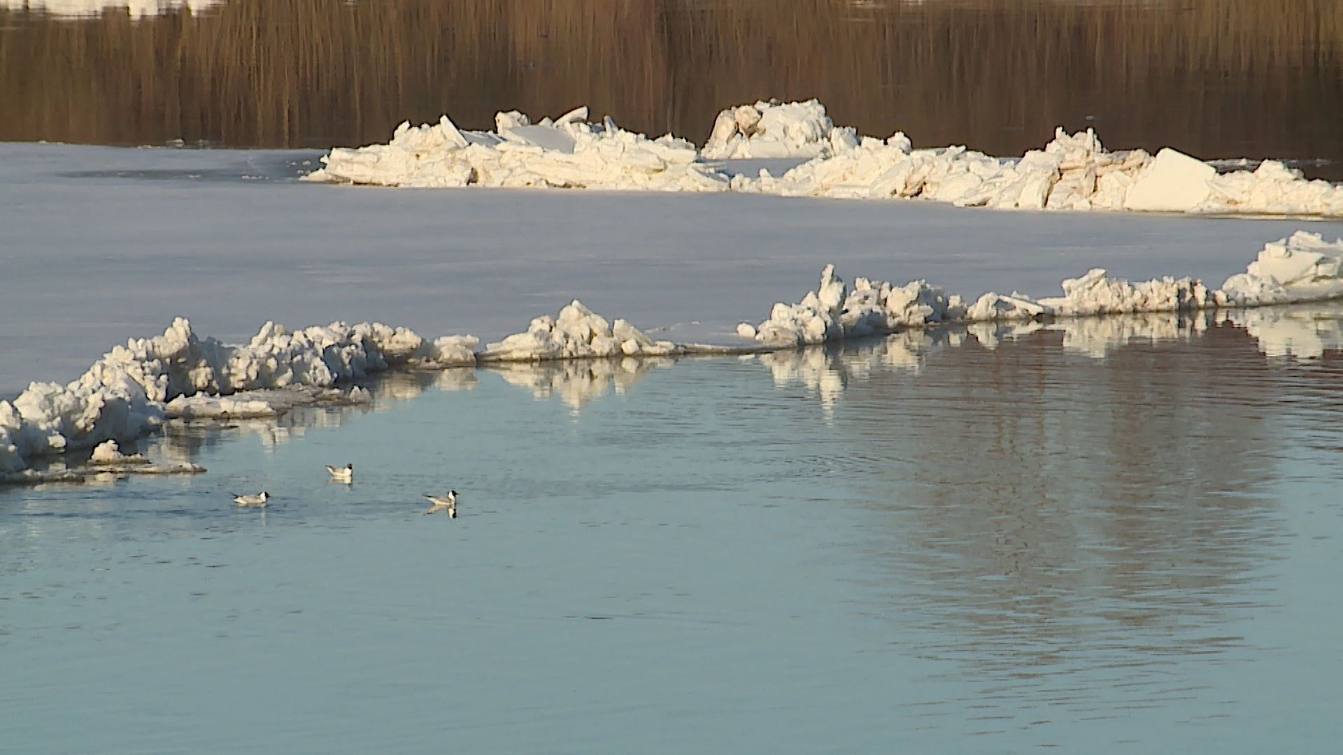 На северных реках Кировской области сохраняется зимний режим