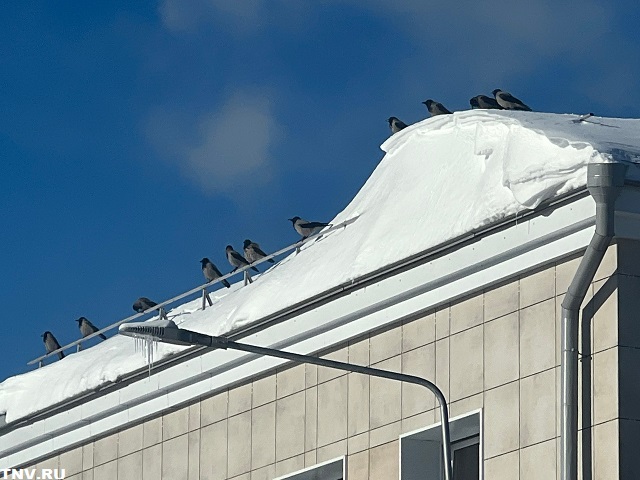 В ложбине циклона окажется Татарстан в конце рабочей недели 