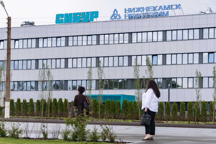 «Нижнекамскнефтехим» (НКНХ) (4) в 2024 году увеличил свою выручку на 14% до 258,8 млрд рублей