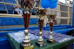 http://culturavrn.ru/В Воронеже отменили футбольный фестиваль с участием звёзд и хоккейный турнир
