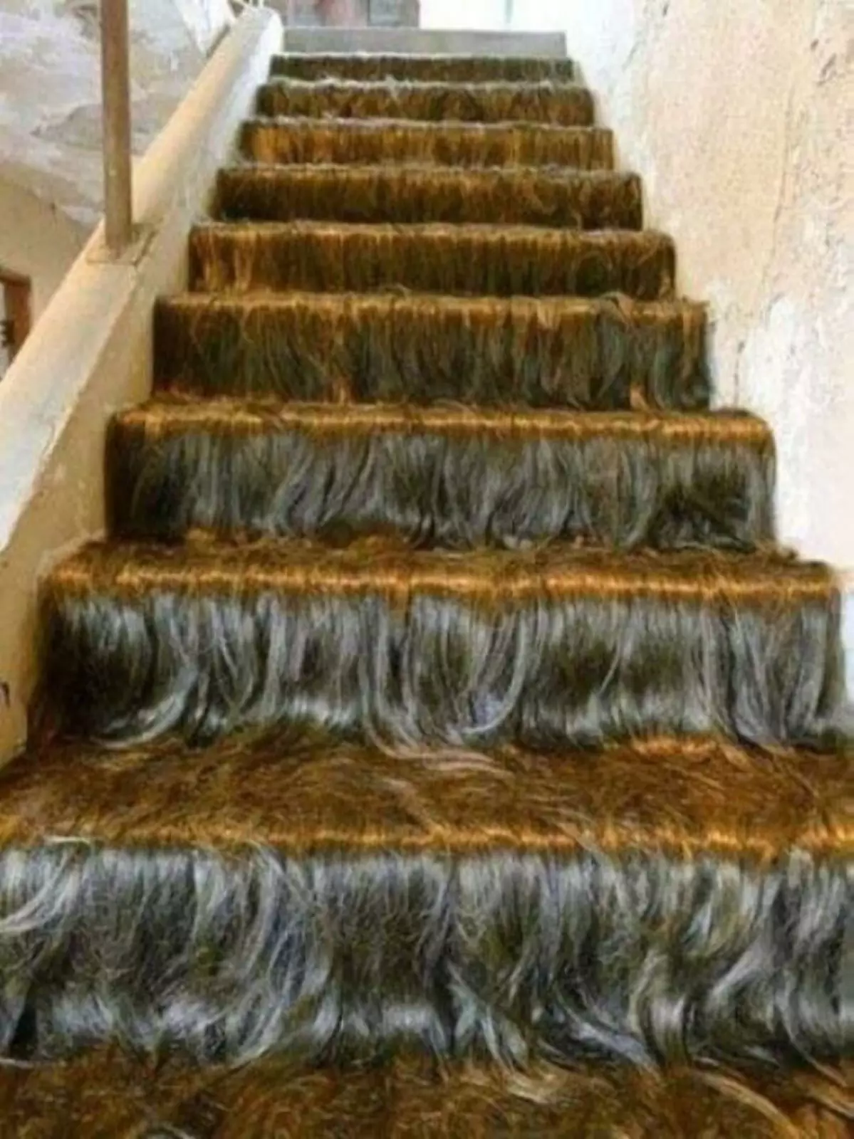 Сколько шампуня надо, чтобы помыть эту лестницу?