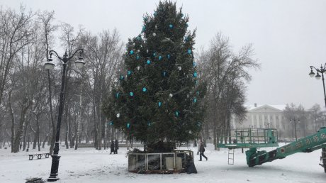 На Соборной площади в Пензе начали украшать живую ель