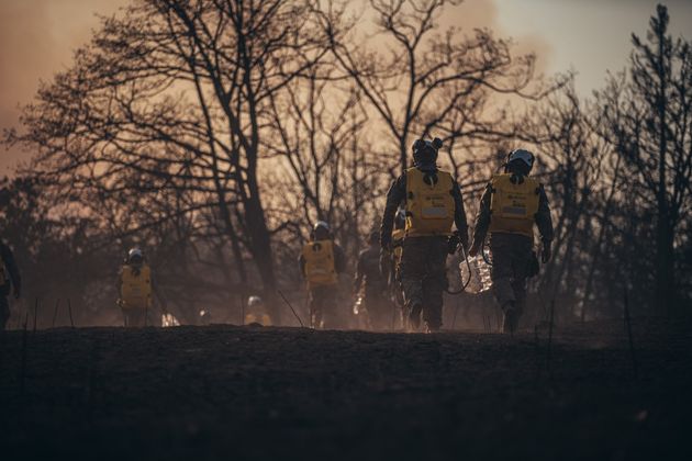 Тушение лесного пожара. Грузия