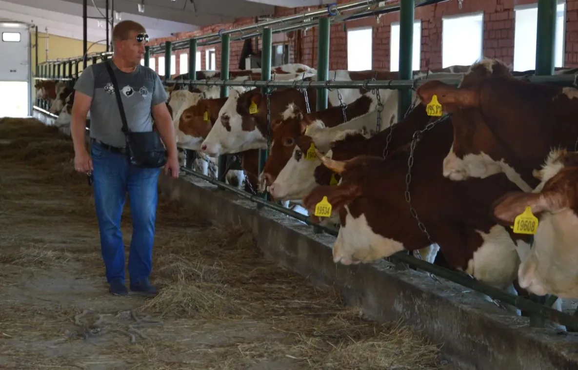 Хабаровским производителям молока помогли субсидиями на 54 млн рублей