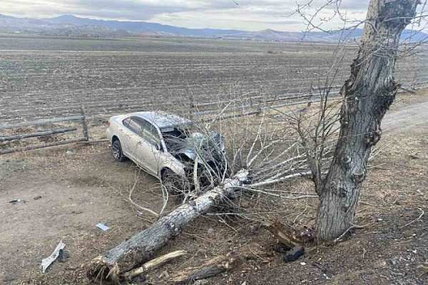 В пригороде Улан-Удэ автомобилист снёс дерево 