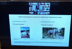Дмитрий Демешин поручил запустить туристические тропы 
