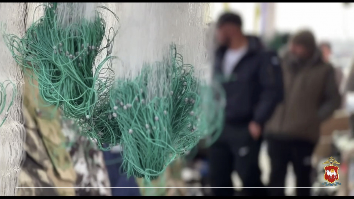 Попались в сети: у торговцев Челябинска изъяли товары для «черных» рыбаков*