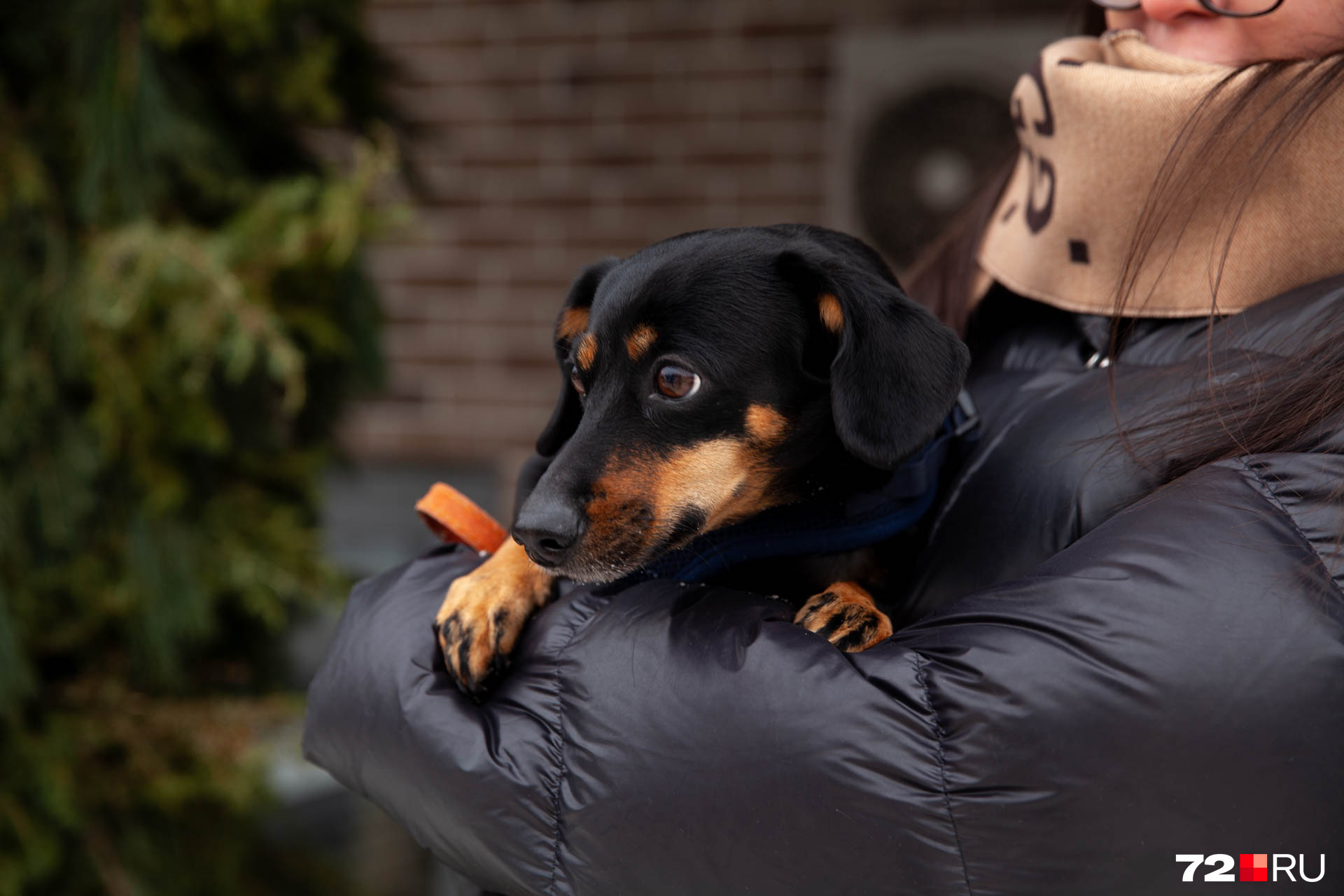 пять лет спустя сериал 2018. фильм пять лет спустя. пять лет спустя сериал 2018 тимофей каратаев. лучше всех пять лет спустя. лучше всех пять лет спустя.