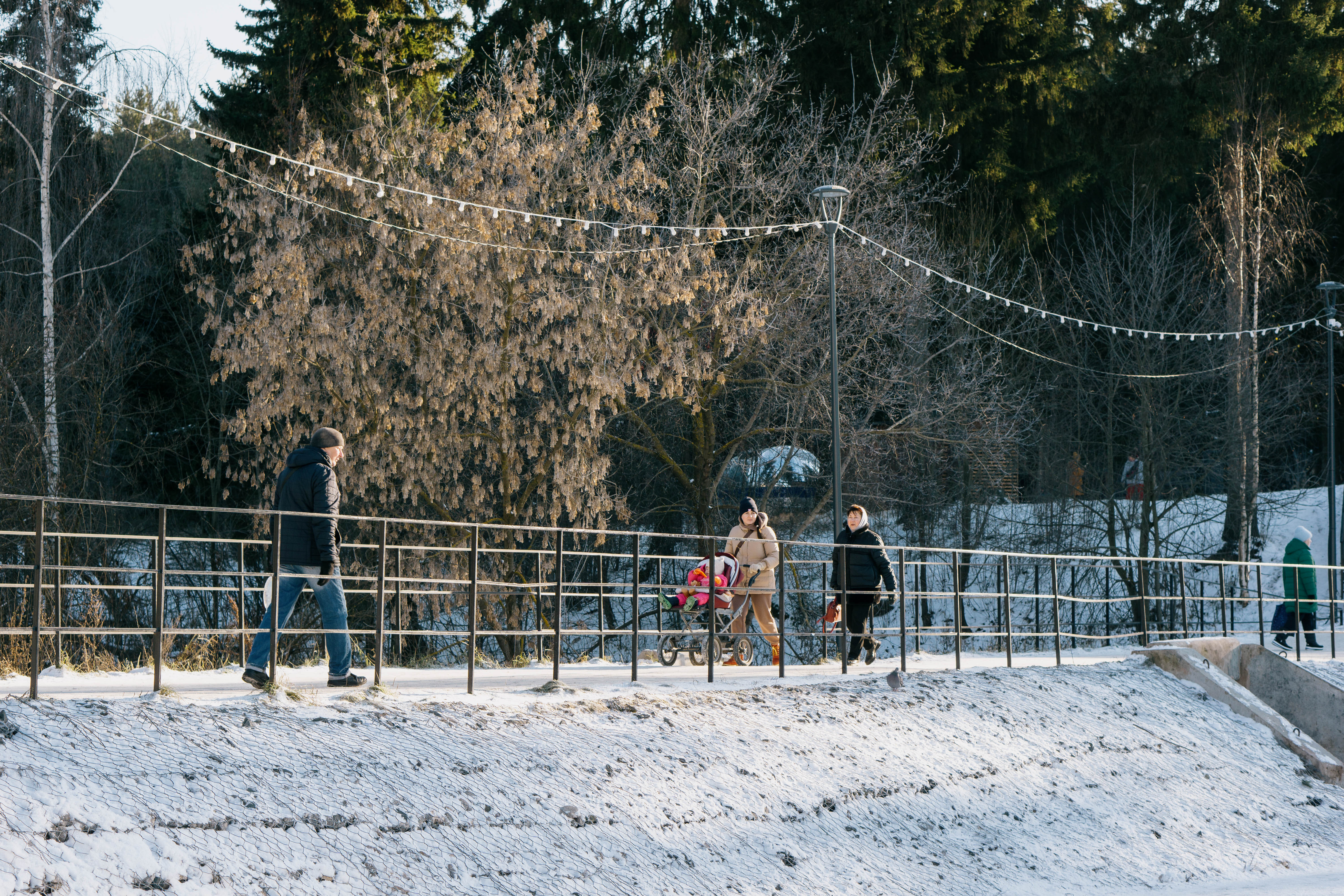 парк драгунова ижевск