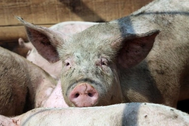 5760579.jpg?477b3eb1a2d2de78f92e9f70201a38af