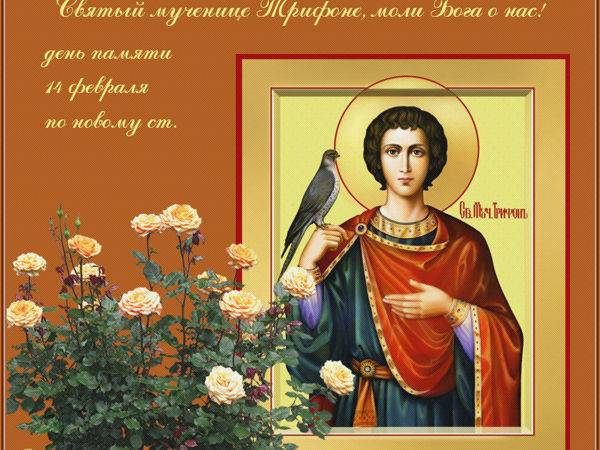 Какой церковный праздник отмечают 14 февраля 2023 года: День памяти святого Трифона, мученицы Перпетуи и Петра Галатийского