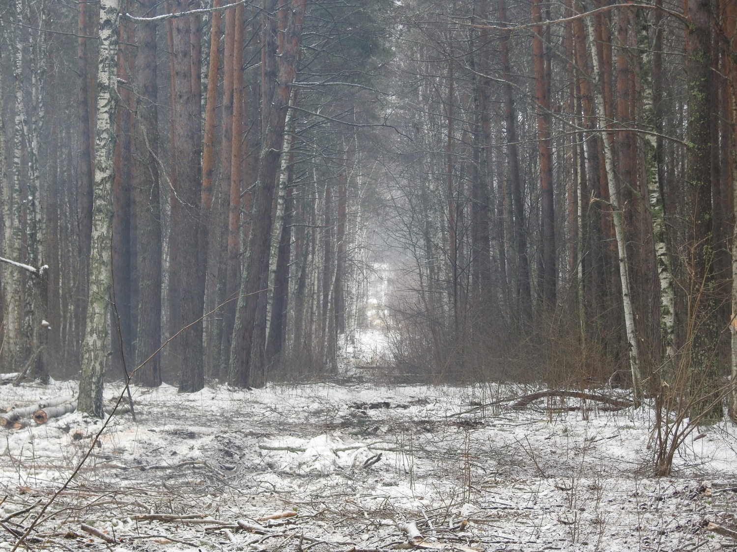 Кузнецк сосновоборск. Полигон свалки в Нижнеломовском районе.