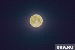 Какой НЛО пролетел над курганским округом и причем тут Илон Маск