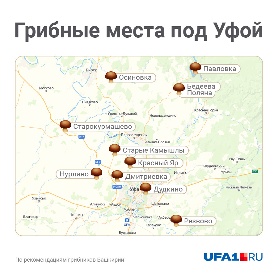 Грибные места петербурга. Грибные места петербурга. Грибные места петербурга. Грибные места петербурга. Грибные места ленобласти на карте.