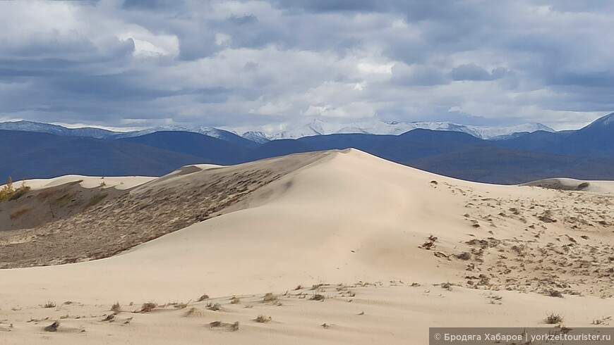 Чарские пески — самая северная пустыня