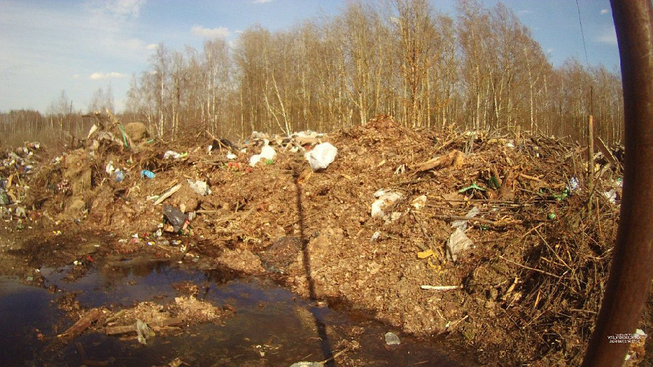 Собственника земельного участка в Александровском районе оштрафовали на 5 миллионов за захламление территории строительным мусором