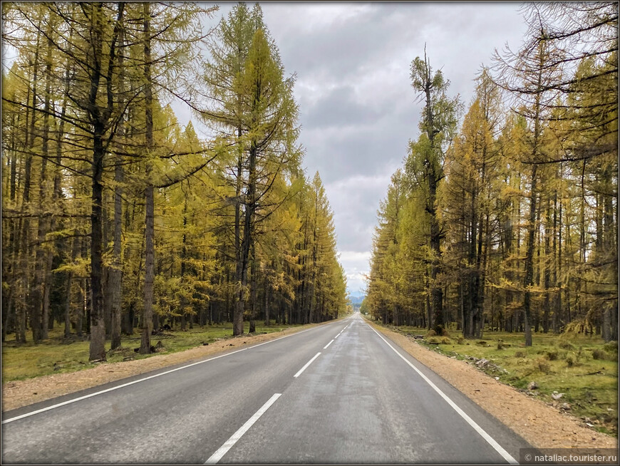 «Осенние краски Уймонской долины». Дорога, база и первые эмоции