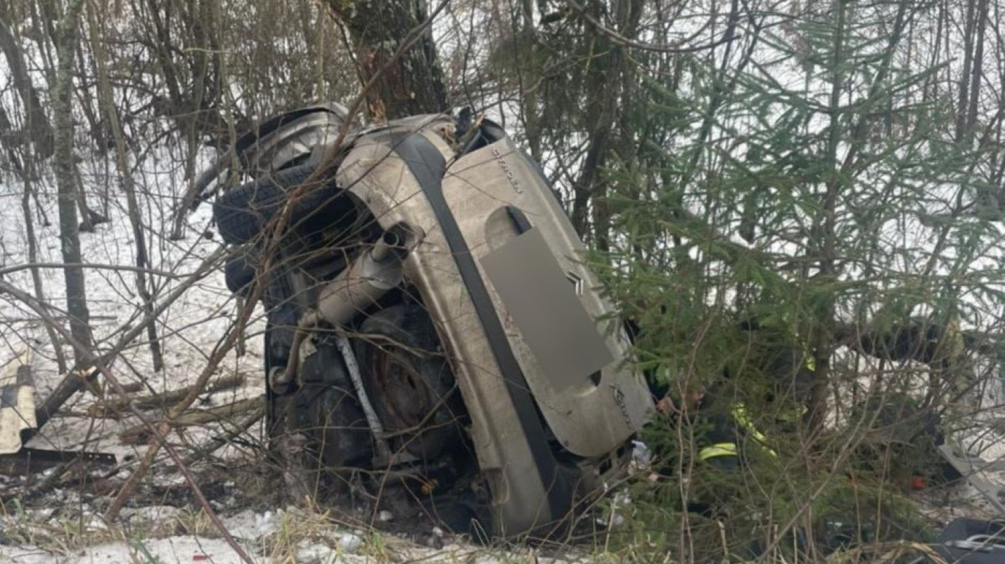 Страшное ДТП под Петербургом: Citroen улетел в кювет, крышу раздавило дерево