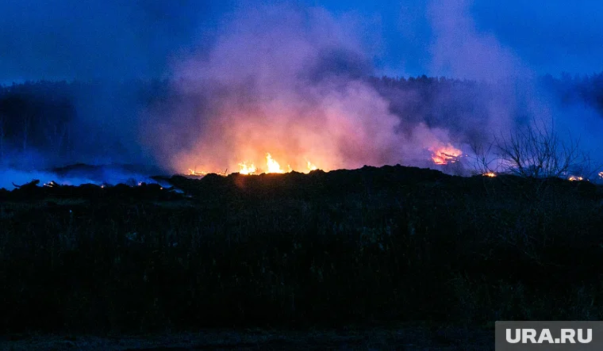 Росельхознадзор, возможно, 