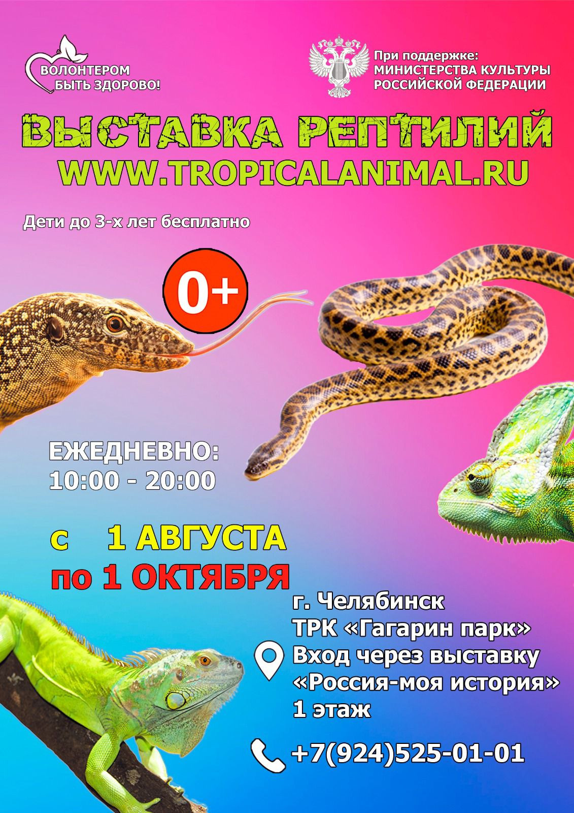 Выставка рептилий кызыл. Выставка рептилий кызыл. Выставка рептилий в абакане. Выставка рептилий в абакане. Ящерица планета экзотики.