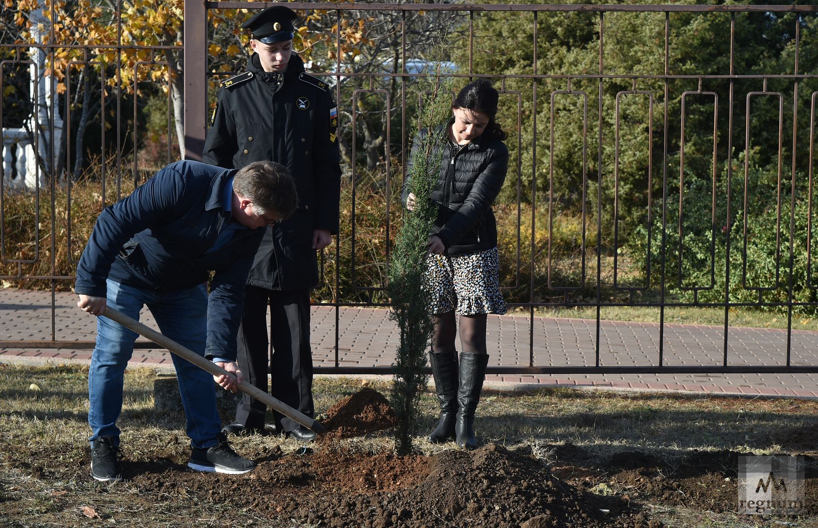 Аллея памяти. Заложили аллею. Высадка аллеи памяти севастополя. Закладка аллеи. Бульвар.