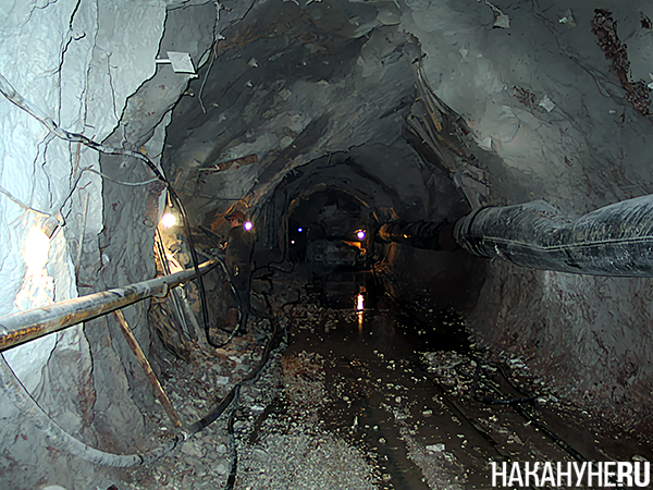 Фото: Накануне.RU