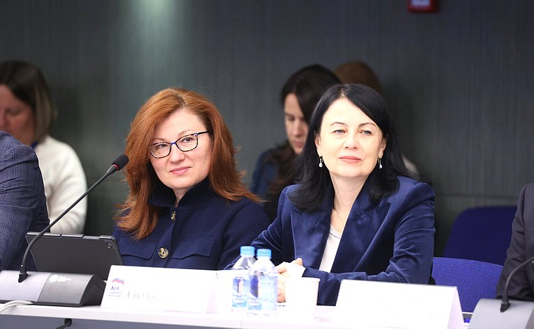 Заседание Комиссии Совета Федерации по развитию креативных (творческих) индустрий и народных художественных промыслов в РФ