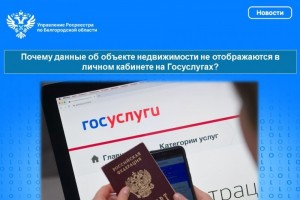 Почему данные об объекте недвижимости не отображаются в личном кабинете на Госуслугах?