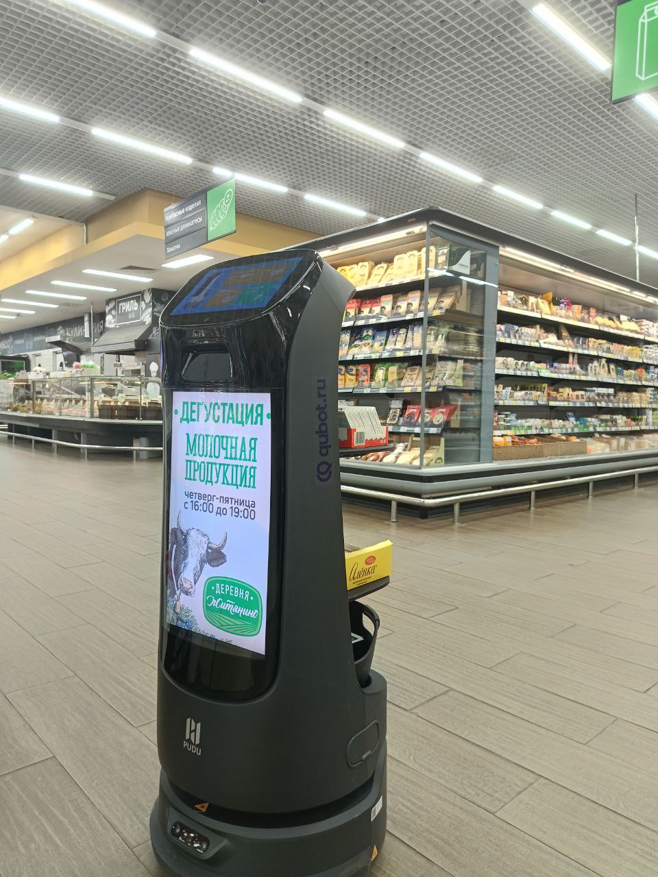 Как сервисные роботы меняют правила игры в бизнесе