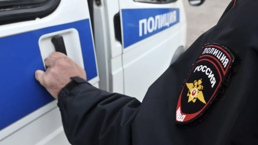 В Петербурге задержали подозреваемую в краже картины стоимостью 3 млн рублей