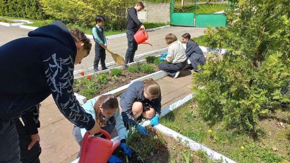 Предложите проект озеленения пришкольной территории включив природные объекты