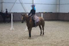 КонкурВ новочебоксарской СШ по конному спорту проведут Новогодний Кубок Деда Мороза в дисциплине конкур Новый год-2026 