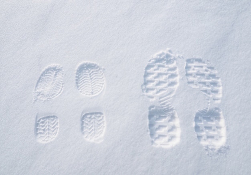 Остаются лишь следы. Vox кроссовки следы. Следы на снегу. Следы человека на снегу. Следы на снегу для детей.