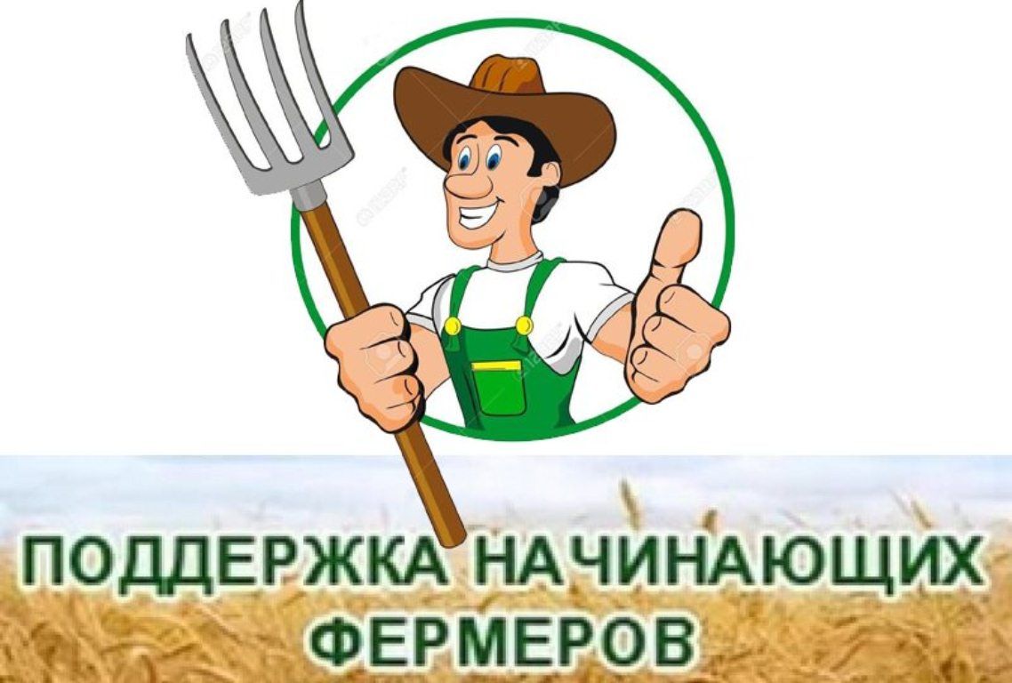 Памятка по созданию бизнеса. Меры поддержки малого предпринимательства в 2022 году. Поддержите начинающего. Поддержка начинающих фермеров. Поддержите начинающего.