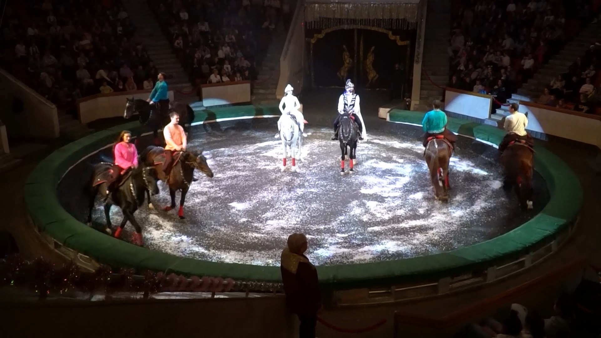 костромской цирк носорог шоу. морской лев в цирке. цирк филатовых.