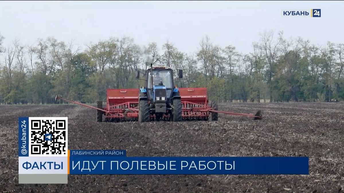 Под урожай 2026 года засеют 1,6 млн гектаров пшеницы в Краснодарском крае