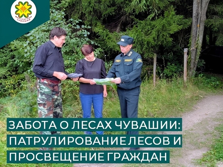 Минприроды Чувашии усиливает контроль за территориями лесного фонда