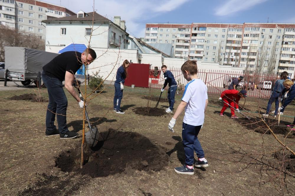 Аллея спортсменов в омске. Аллея чемпионов Омск. Спортсмены Омской области для детского сада. Рябиновая аллея фото Омск. Пирамидальный Тополь Омск.