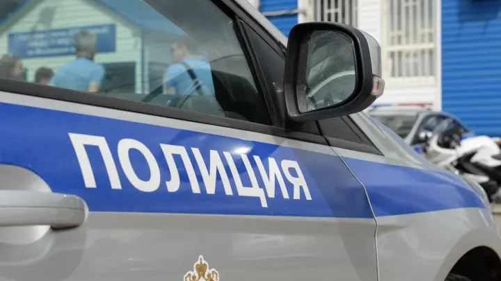 Умер, кремирован, продан? В Москве пропал бенгальский кот Симба на передержке, а его няня путается в показаниях