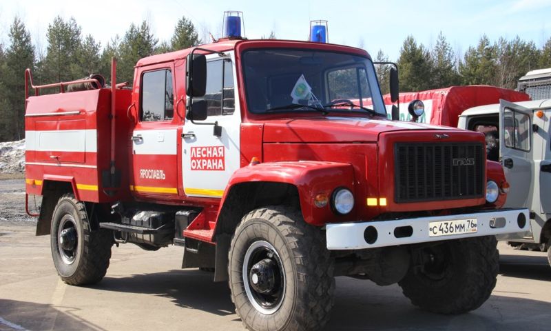 В Ярославской области ликвидировали лесной пожар