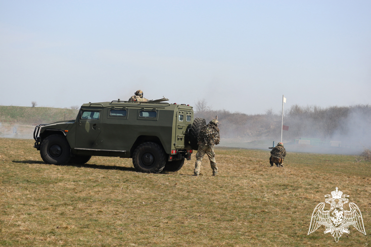 Кубанские школьники и студенты побывали в гостях у Росгвардии на военном полигоне