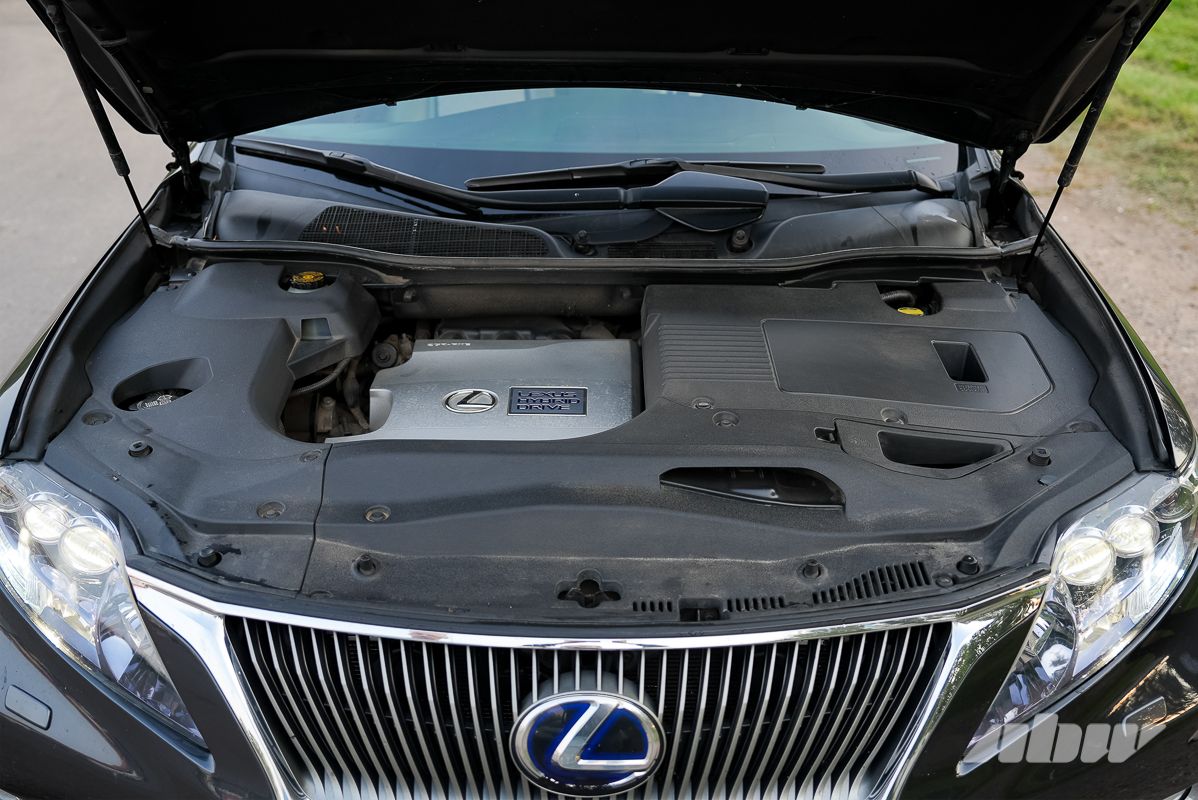 Когда премиум не спасает от коррозии: мнение владелицы Lexus RX 450h