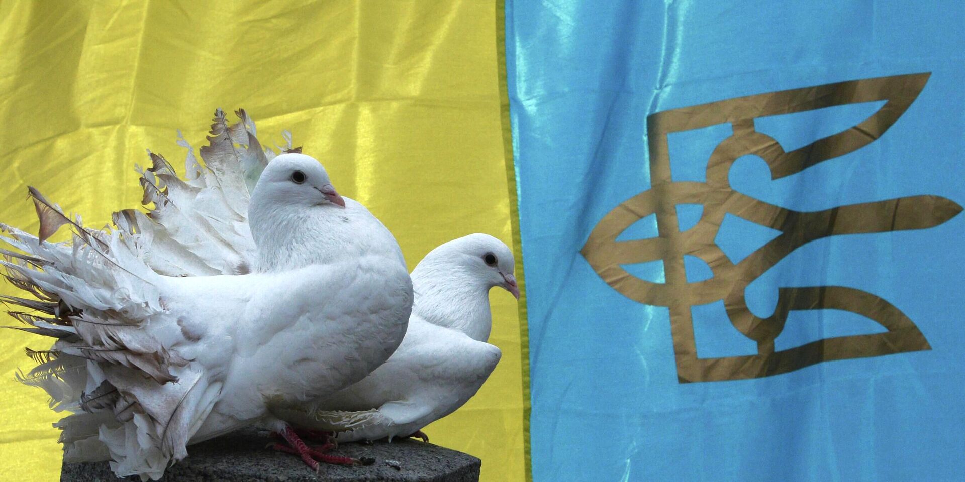 Белые голуби на фоне национального флага Украины - ИноСМИ, 1920, 04.12.2025