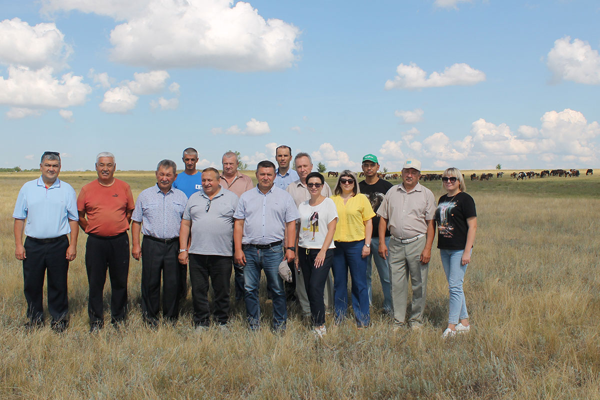 фермер новиченкова. самарские фермеры. дмитриев фермер самарская область. кирсанов самара фермер. фермеры самарской области тайллати.
