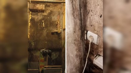 Мэрия во второй раз отказалась признавать аварийным разрушающееся воронежское общежитие