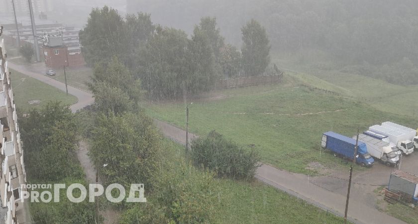 Буря лишила восемь районов в Нижегородской области электричества: опасность сохраняется