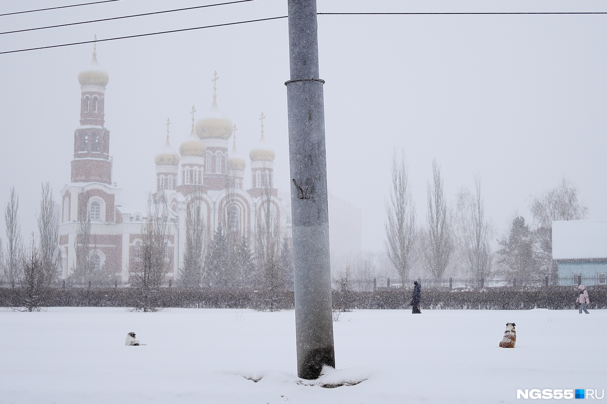 Снегопады 2023. Снег в апреле 2023 Оренбург. Снегопад в Казахстане 2023. Снег в Омске. Общество снега.