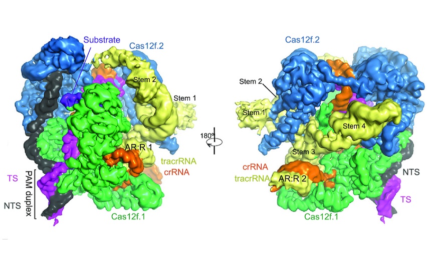 Cas 12. Структура КАС.