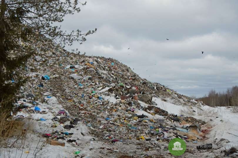 Огромную свалку в Костино рекультивируют: Заключён контракт на 2,16 млрд рублей